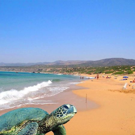 The Holiday Flat, Gateway To Desired Experiences Peyia Extérieur photo